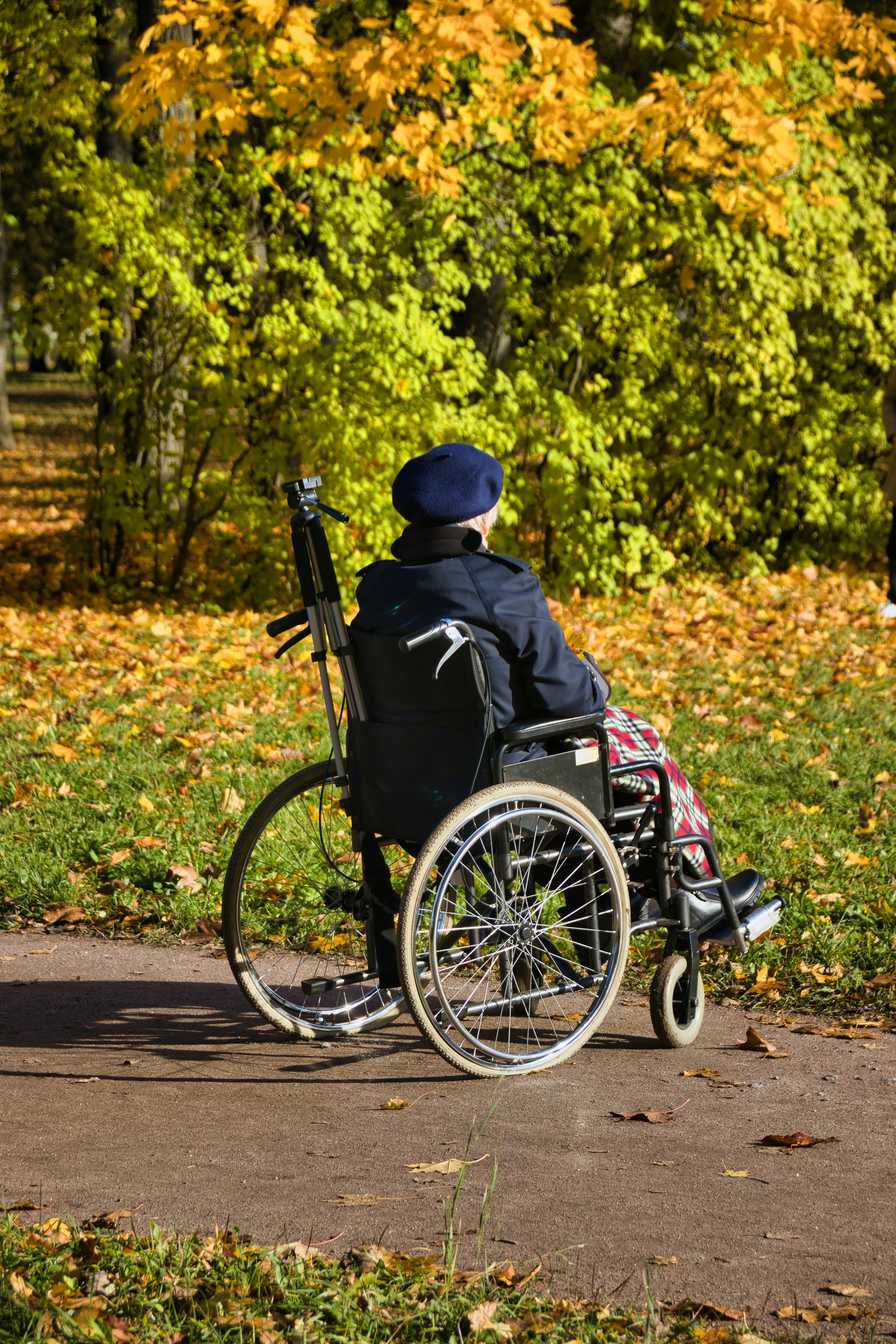 A person in a wheelchair on an autumn path, representing the need for accessible recovery support